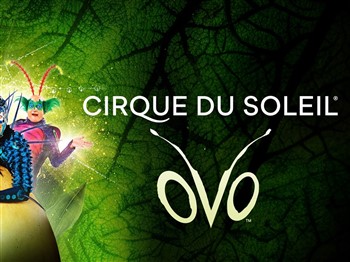 Cirque du Soleil Presents OVO at Royal Albert Hall