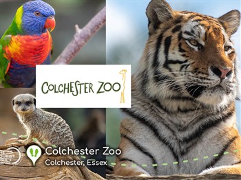 Colchester Zoo 