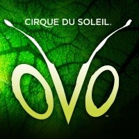 Cirque du Soleil Presents OVO at Royal Albert Hall