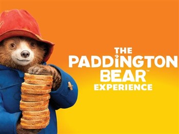 The Paddington Bear Experience