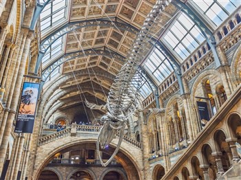 Trips under £70